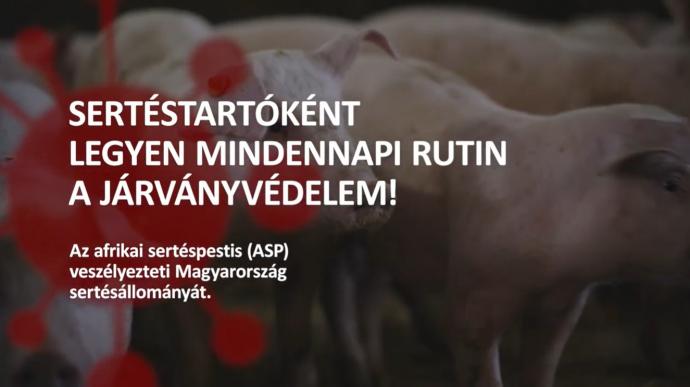 sertéspestis