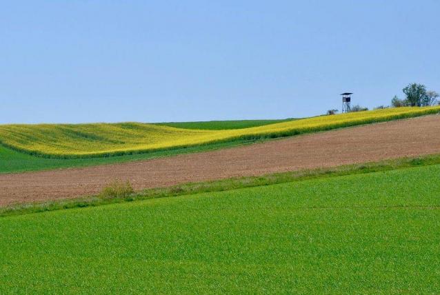 A határszemlék mindannyiunk érdekét szolgálják