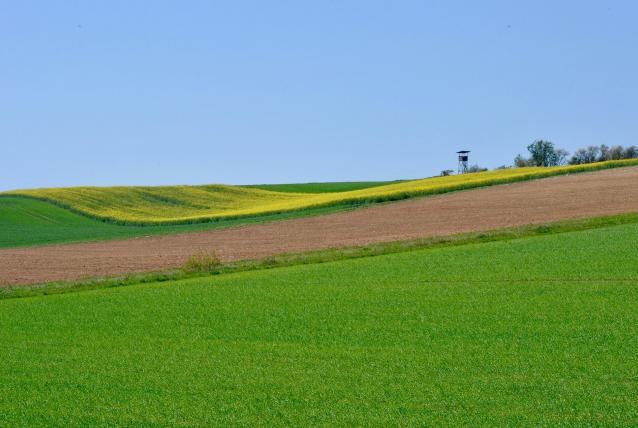 Megkezdődött a 2026. évi egységes kérelem igénylése