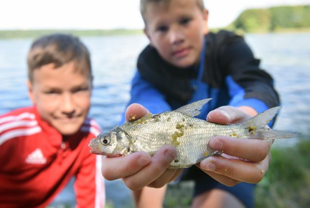 Ismét halőrvizsgára várjuk a jelentkezéseket!