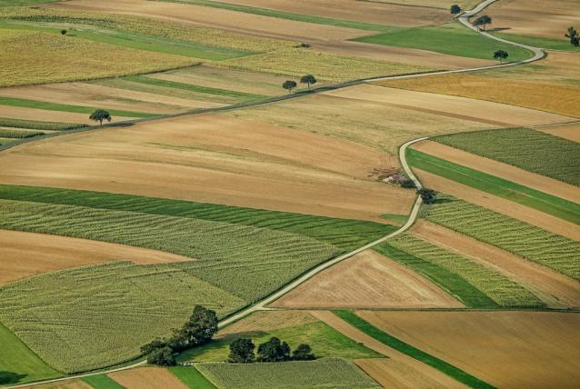 Befejeződött a határszemle