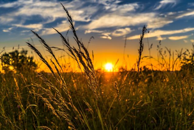 Lezárult az agrártámogatási kérelmek előlegeinek kifizetése