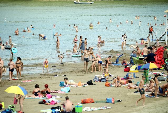 Kormányablakbusz, természet- és fogyasztóvédelmi tanácsadás is várta a Körös-Toroki Napok vendégeit