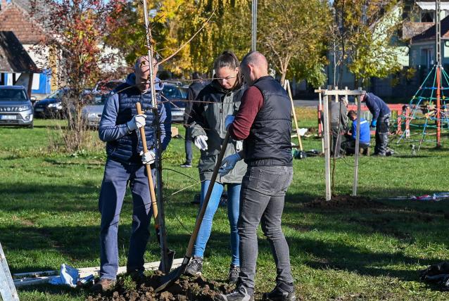 Mit üzennek a fák?