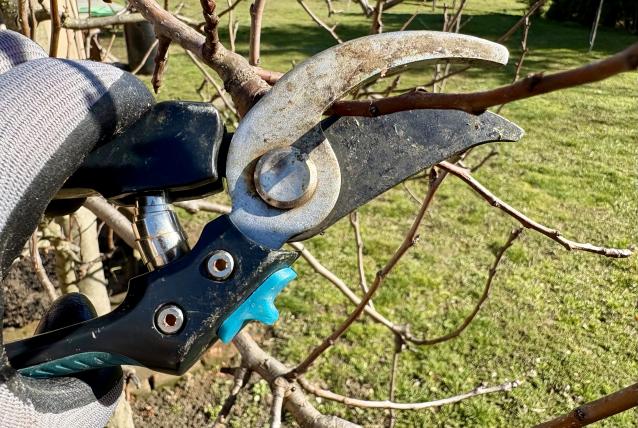 Metszés és komposztálás lépésről lépésre