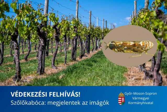 Védekezési felhívás!