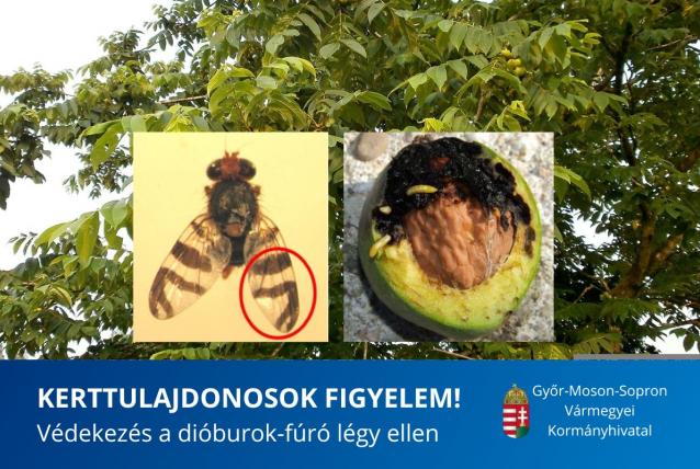 Kerttulajdonosok figyelmébe!